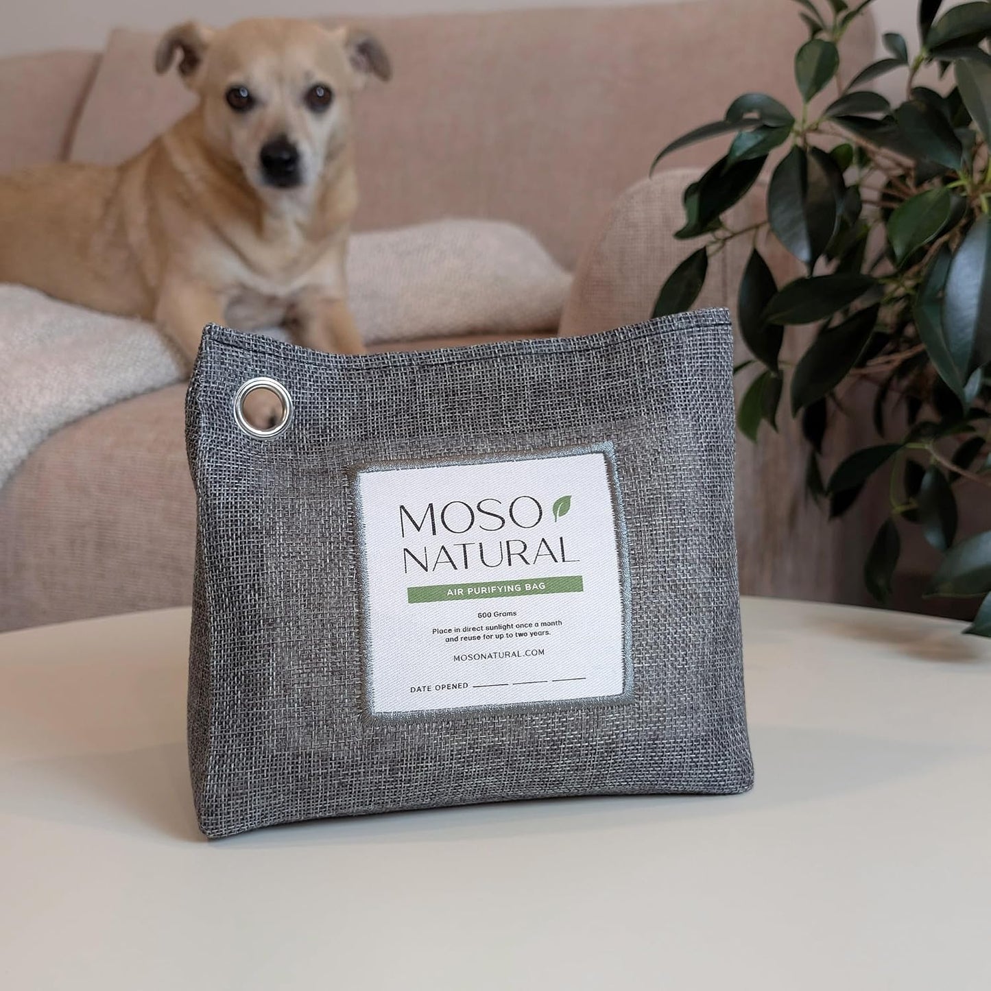 Moso Natural Air Purifying Bag 600g, Premium Charcoal Odor Absorber & Room Deodorizer for Large Spaces — Lasts 2 Years, Bedroom, Basement, Pet Odor Eliminator for Home, Unscented Bamboo Charcoal Bag