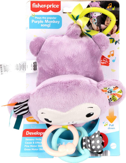 Fisher-Price On-the-Go Koala Soother