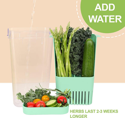 LUVCOSY 3 Pack Herb Keeper, BPA-Free Plastic Herb Saver with an Inner Basket for Cilantro, Mint, Parsley, and Asparagus, Keeps Fresh Herbs for 3 Times Longer