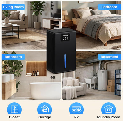 Dehumidifier for Home with Auto Shutoff Sleep Mode, 1000 Sq Ft