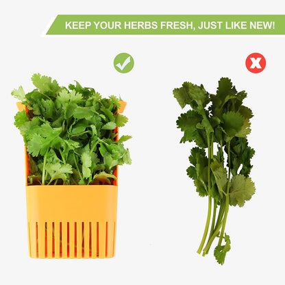 LUVCOSY 3 Pack Herb Keeper, BPA-Free Plastic Herb Saver with an Inner Basket for Cilantro, Mint, Parsley, and Asparagus, Keeps Fresh Herbs for 3 Times Longer