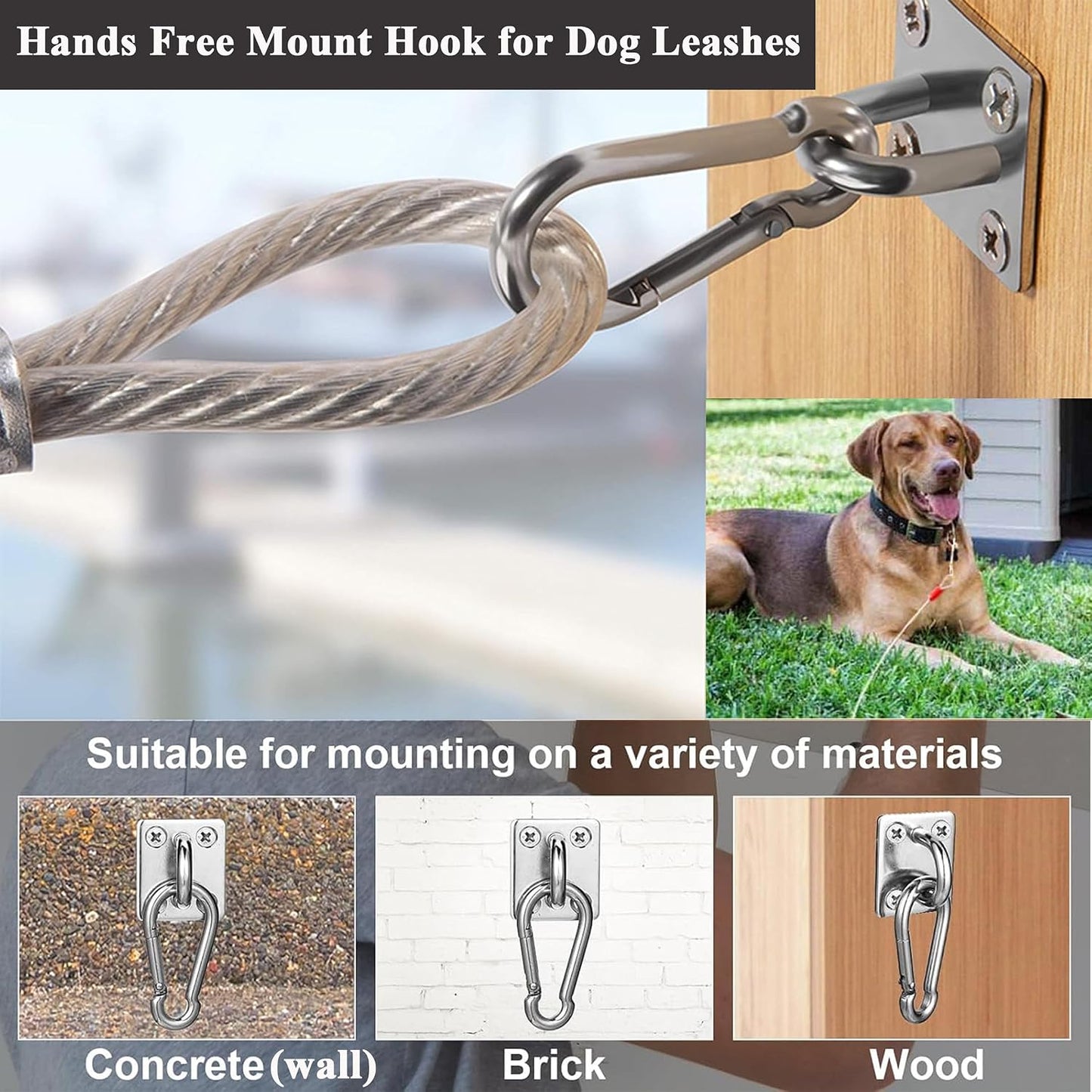 Stainless Steel Tie Out Mounted Wall Hook with Clip for Dog Up to 500lbs | for Small / Medium / Large Dog, Rust-resistant & Corrosion-resistant, Applicable to Concrete/Brick/Wood