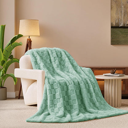Templewet Heated Blanket Throw 50" x 60",Cute Electric Blanket,Racoon | Timer Settings,Auto Off,Soft Sherpa Heated Throw Blanket,Machine Washable,Fast Heating for Sofa Bed Office Use,Gifts for Mom