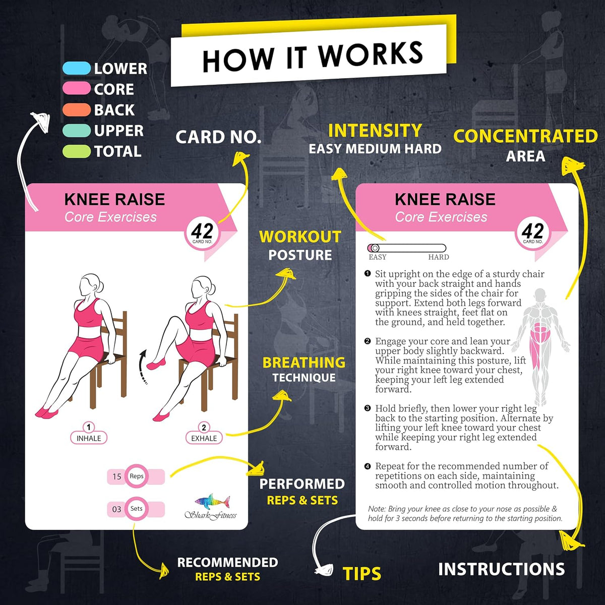 Flexies Chair Yoga Workout Cards – 58 Seated Exercise Cards for Beginners & Seniors | 28 Day Chair Workout Chart for Weight Loss, Strength, Flexibility & Balance