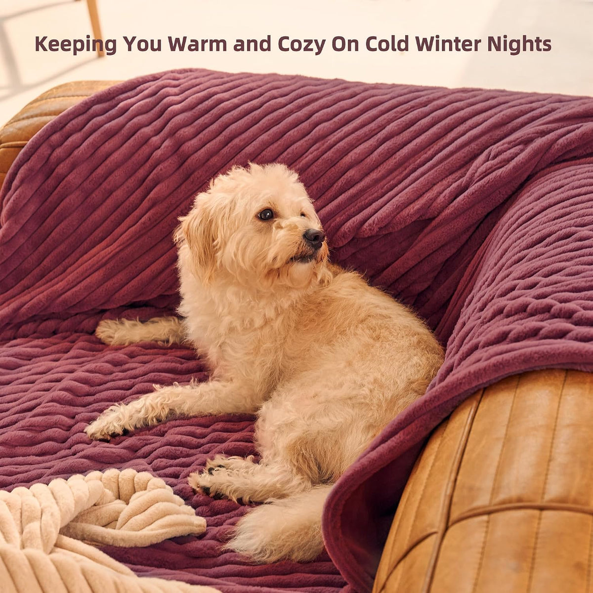 GOTCOZY Heated Blanket-Soft Plush Electric Blanket 50"X60"(Grey)