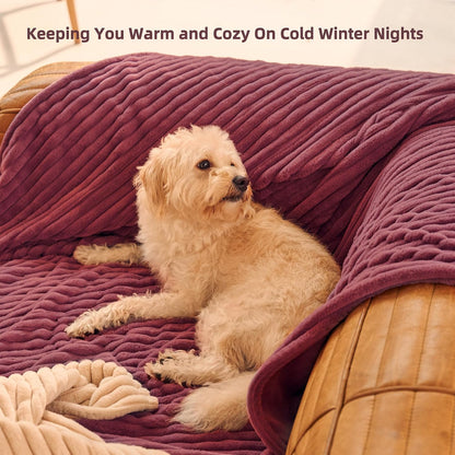 GOTCOZY Heated Blanket-Soft Plush Electric Blanket 50"X60"(Grey)