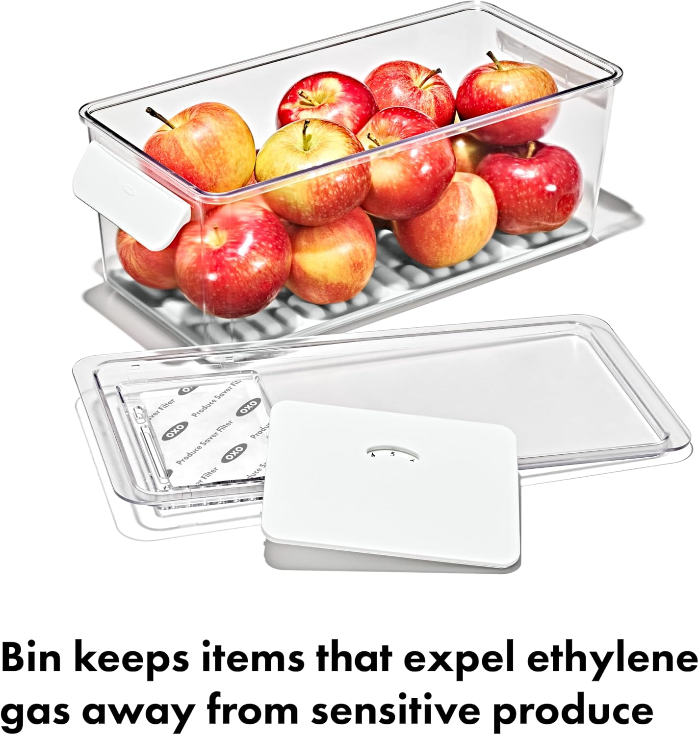 OXO Good Grips Produce Saver - Berry Keeper 2-Piece Set