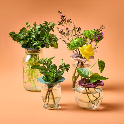 Modern Sprout Eco-Friendly Produce Keeper for Fresh Herbs & Greens - 2 Pack | BPA-Free, Sustainable Materials - Extends Freshness Up to 2 Weeks - Gift for Plant Lovers and Home Chefs