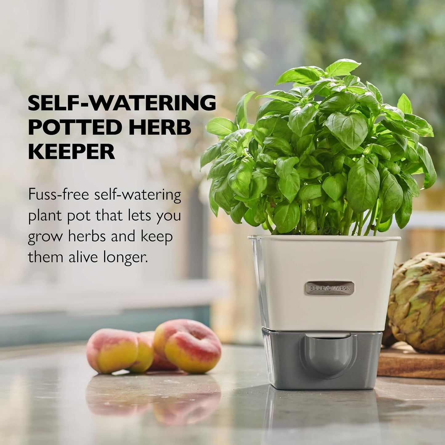 Cole & Mason Fresh Herb Keeper - Acrylic Storage Container for Refrigerator - Storage for Herbs & Vegetables for Fridge - Fresh Herb Keeper