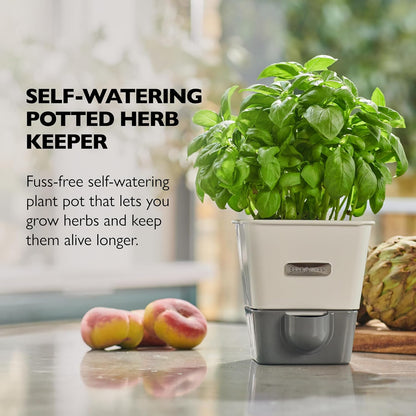 Cole & Mason Fresh Herb Keeper - Acrylic Storage Container for Refrigerator - Storage for Herbs & Vegetables for Fridge - Fresh Herb Keeper