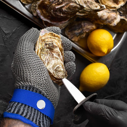 ANSI A9 Cut Resistant Glove, Food Grade Stainless Steel Mesh Metal Glove, Suitable for Mandoline, Kitchen Cooking,Butcher Meat Cutting and Oyster Shucking(Large Size)