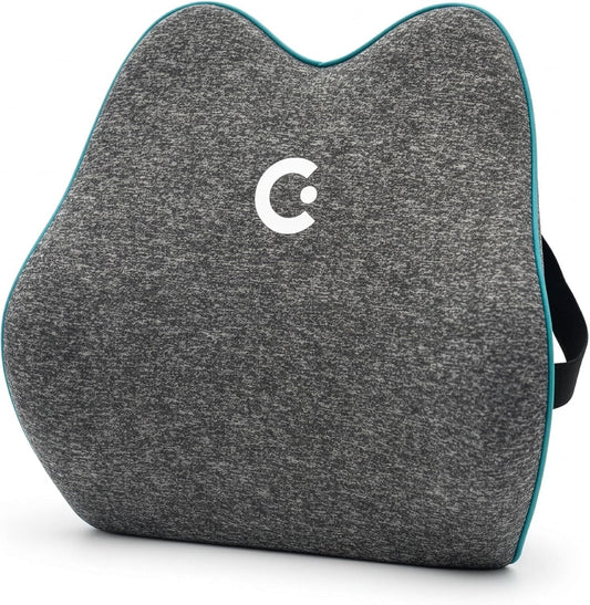Cubii Cushii V2 Back Support Cushion for Back and Lower Back Pain Relief Universal Fit for Desk, Office, Kitchen Chairs, Couch Cushions with Advanced Lumbar Support