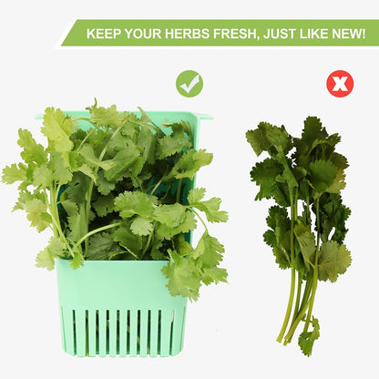 LUVCOSY 3 Pack Herb Keeper, BPA-Free Plastic Herb Saver with an Inner Basket for Cilantro, Mint, Parsley, and Asparagus, Keeps Fresh Herbs for 3 Times Longer