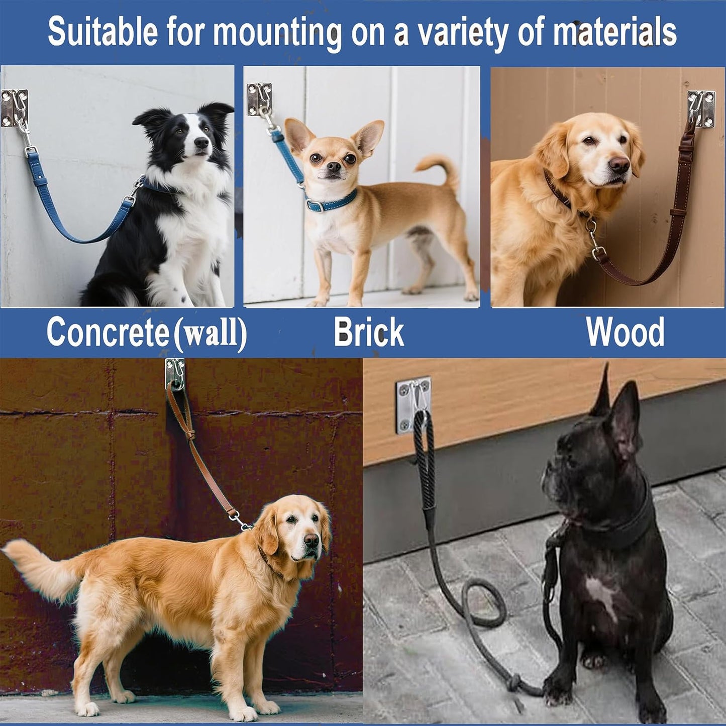 Wall Hooks for Dog Leash, Dog Tie Out Cable Holder for Home and Business | stainless steel wall mounted hook for dog