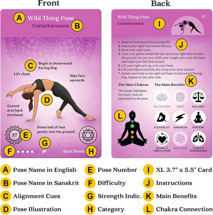 Asana Moon Premium Yoga Cards – Deck with Over 120 Yoga Poses – Yoga Sequencing Deck with Yoga Cues and Sanskrit Names for Beginners and Teachers – Unique Yoga Gift for Women or Any Yoga Lover