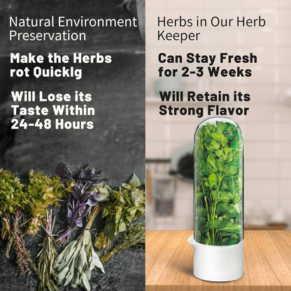 Herb Keeper for Refrigerator, Herb Saver for Refrigerator, Cilantro Container, Vegetable Preservation Bottle for Cilantro, Mint, Parsley, Asparagus, Keeps Greens Fresh for 2-3 Weeks (2PCS)