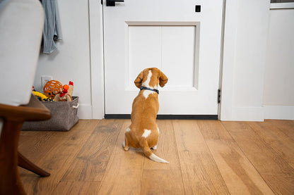 BKSAI Door Draft Stopper for Doors 29-35" No Adhesive Draft Stopper for Bottom of Door Draught Excluder Under Door Wind Blocker Reduce Noise Draught Excluder Sweep Sound Proof(Black) | No Adhesive, For Bottom of Door, Wind Blocker, Reduce Noise, Sound