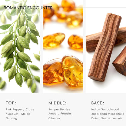 Hotel Diffuser Oil Inspired by Ritz-Carlton Scent - Premium Fragrance Oil No. SA61119323 for Ultrasonic and Waterless Diffuser - 120 mL, 4 fl oz