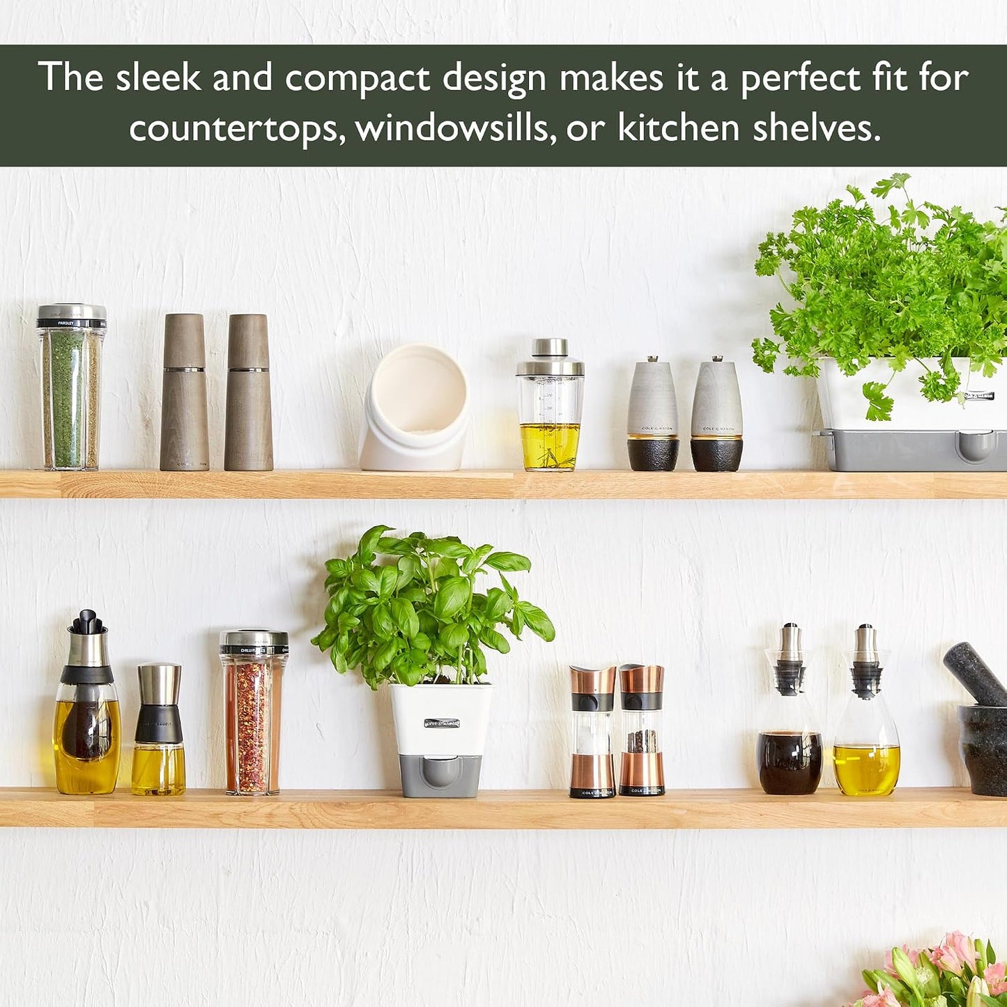 Cole & Mason Fresh Herb Keeper - Acrylic Storage Container for Refrigerator - Storage for Herbs & Vegetables for Fridge - Fresh Herb Keeper