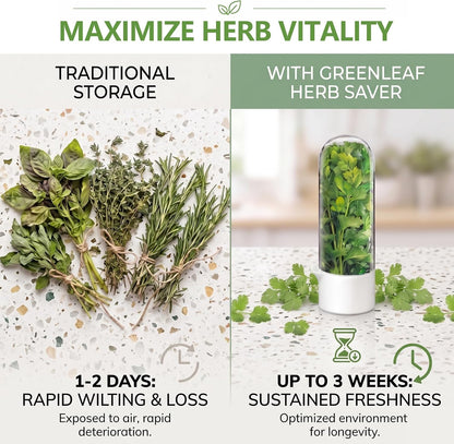 Herb Saver, Herb Keeper for Refrigerator, Cilantro Container for Fridge, Hard Shell Fresh Herb Storage for Asparagus, Parsley, Mint, Rosemary, Keeps Greens Fresh for 2-3 Weeks (3PCS)