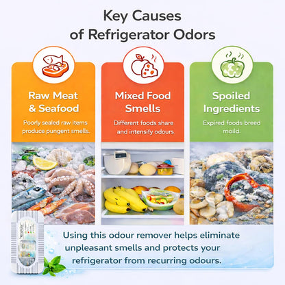 Refrigerator Deodorizer, Activated Charcoal Odor Absorber & Air Freshener | Fridge Deodorizer