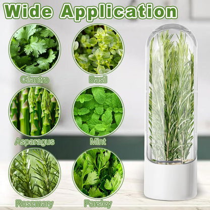 4 PCS Fresh Herb Keeper for Refrigerator, Herb Saver for Refrigerator, Cilantro Containers for Fridge, Herb Storage Containers for Cilantro Asparagus Mint Rosemary Parsley Basil for 2-3 Weeks