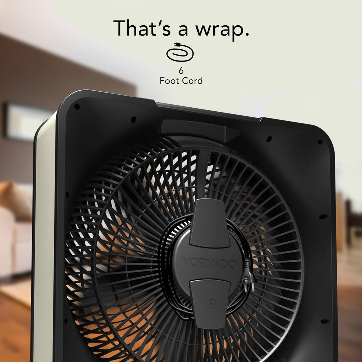 Vornado Model 80 High Velocity Box Fan, 20 Inch, 5 Speeds, Powerful Airflow