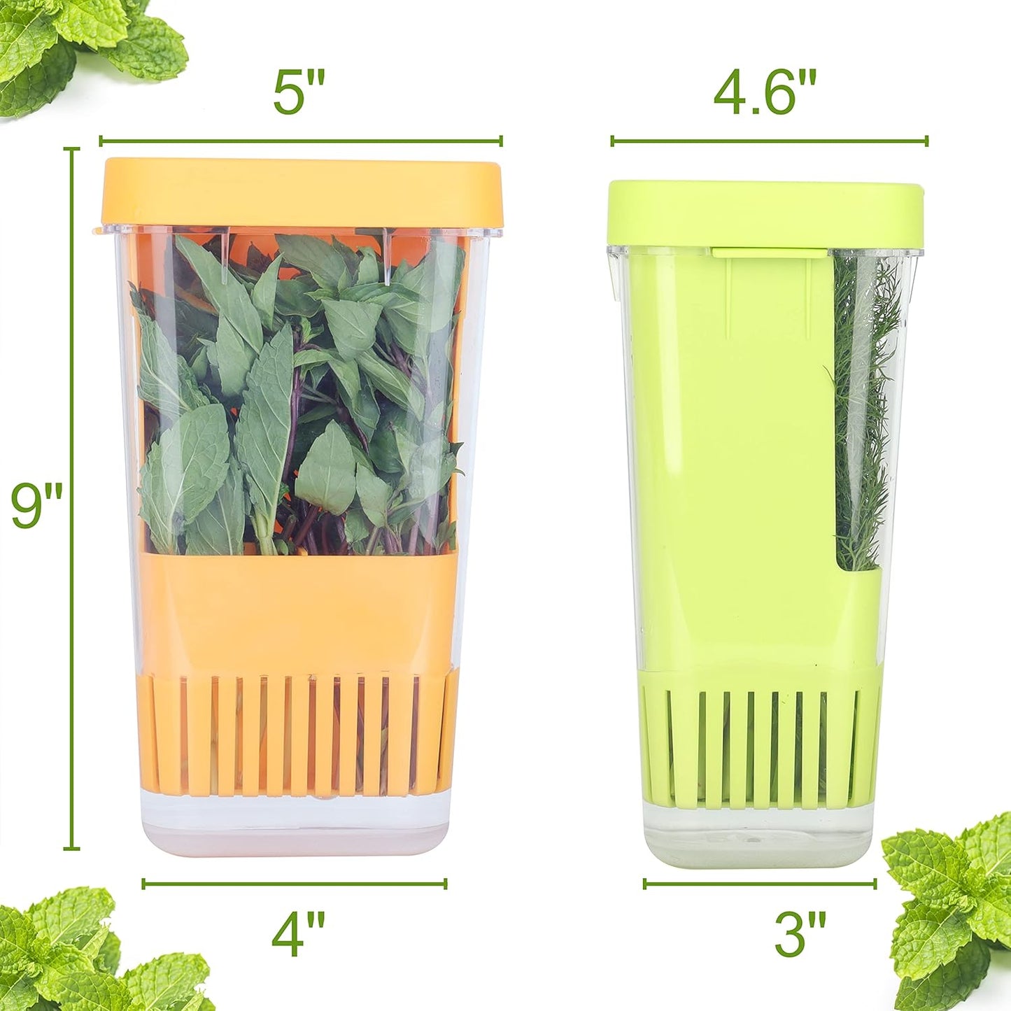 2 Pack Fresh Herb Keeper for Refrigerator, Clear BPA-Free Herb Saver, Storage Container for Cilantro, Parsley, Thyme, Mint & Asparagus, Preserver Keeps Fresh Herbs for 3 Times Longer