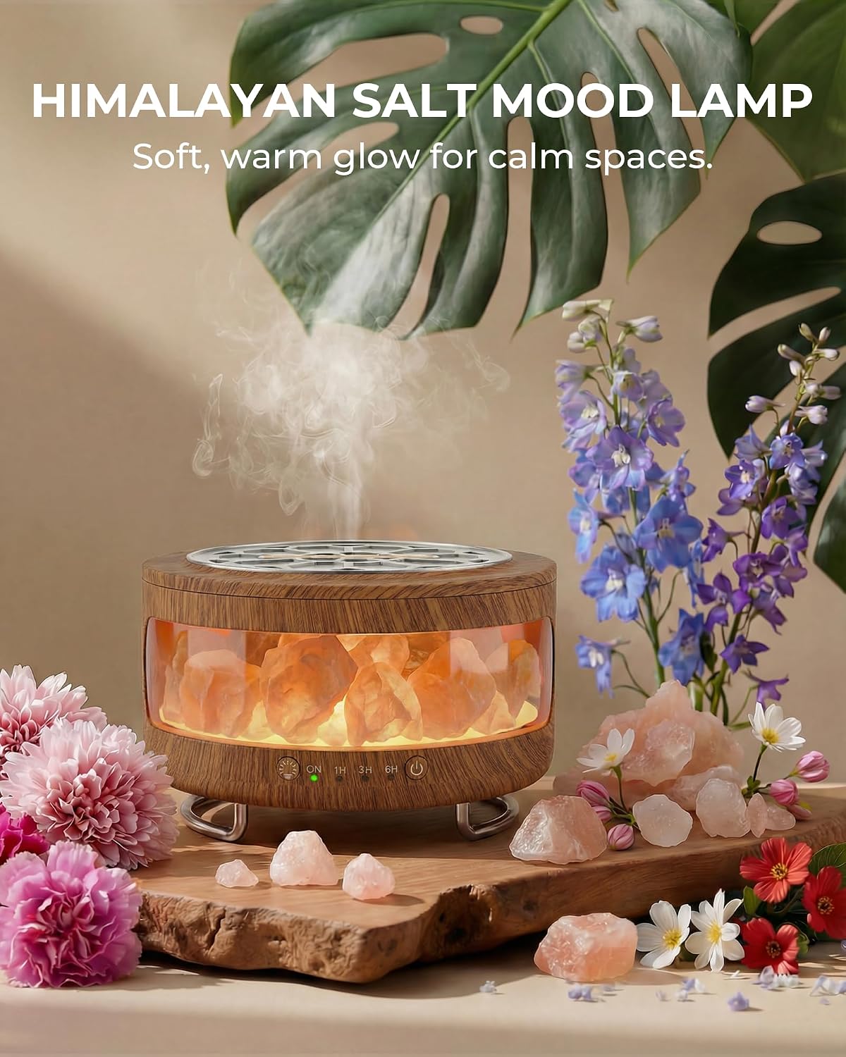 Essential Oil Diffuser with Himalayan Salt Lamp, Scent Diffusers for Home