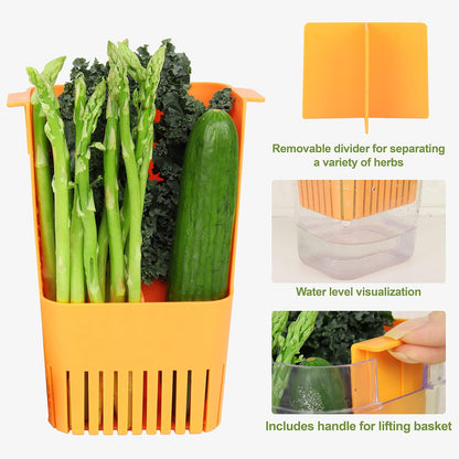 LUVCOSY 3 Pack Herb Keeper, BPA-Free Plastic Herb Saver with an Inner Basket for Cilantro, Mint, Parsley, and Asparagus, Keeps Fresh Herbs for 3 Times Longer