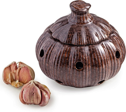 Garlic Storage Pod Ceramic Garlic Keeper with Lid Large Garlic Container for Counter, White