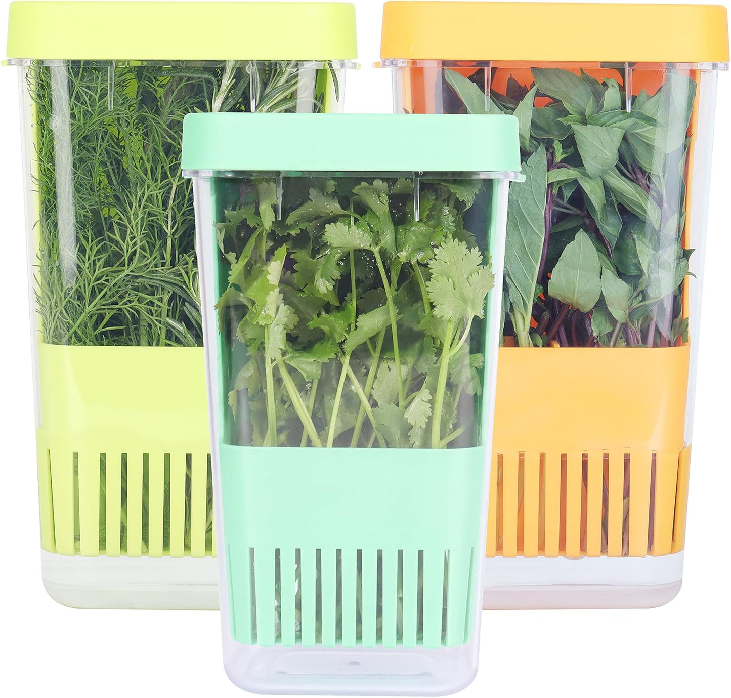LUVCOSY 3 Pack Herb Keeper, BPA-Free Plastic Herb Saver with an Inner Basket for Cilantro, Mint, Parsley, and Asparagus, Keeps Fresh Herbs for 3 Times Longer