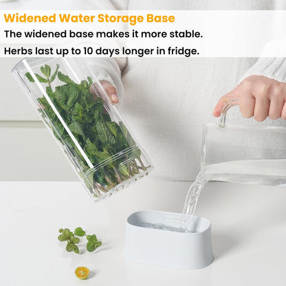 Herb Keeper for Refrigerator, Fresh Herb Saver Herb Storage Containers, Cilantro Container for Fridge Asparagus Container, Dishwasher Safe