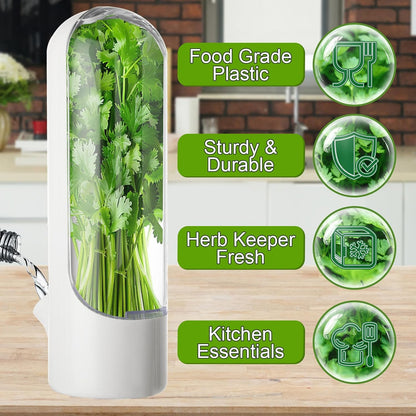 4 PCS Fresh Herb Keeper for Refrigerator, Herb Saver for Refrigerator, Cilantro Containers for Fridge, Herb Storage Containers for Cilantro Asparagus Mint Rosemary Parsley Basil for 2-3 Weeks