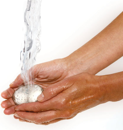 Norpro Onion Holder/Odor remover