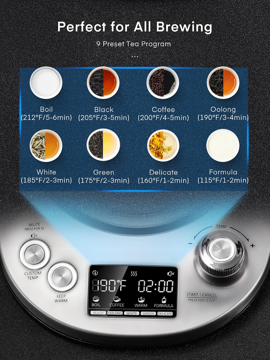Electric Tea Kettle, 9 Temperature Control Presets Glass Kettle, 1200W Tea Pot with Removable Infuser, 2 Hours Keep Warm, 1.7 Liter Electric Kettles, Borosilicate Glass & Stainless Steel