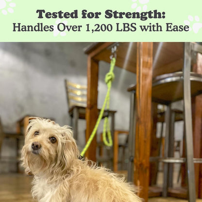 Canine Hitch- Secure Dog Leash Parking Mounted Indoor – Outdoor Wall Hook - Tie Out Stainless Steel Practical Lead Management for Home & Business, Slim Compact