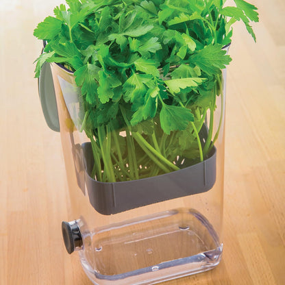 ProKeeper Herb Keeper with Removable Silicone Drain Plug, BPA-Free Plastic | Stores 1 to 3 Bunches Of Herbs Or Keeps Asparagus Hydrated, Removable Basket for Easy Access and Drainage, Dishwasher Safe