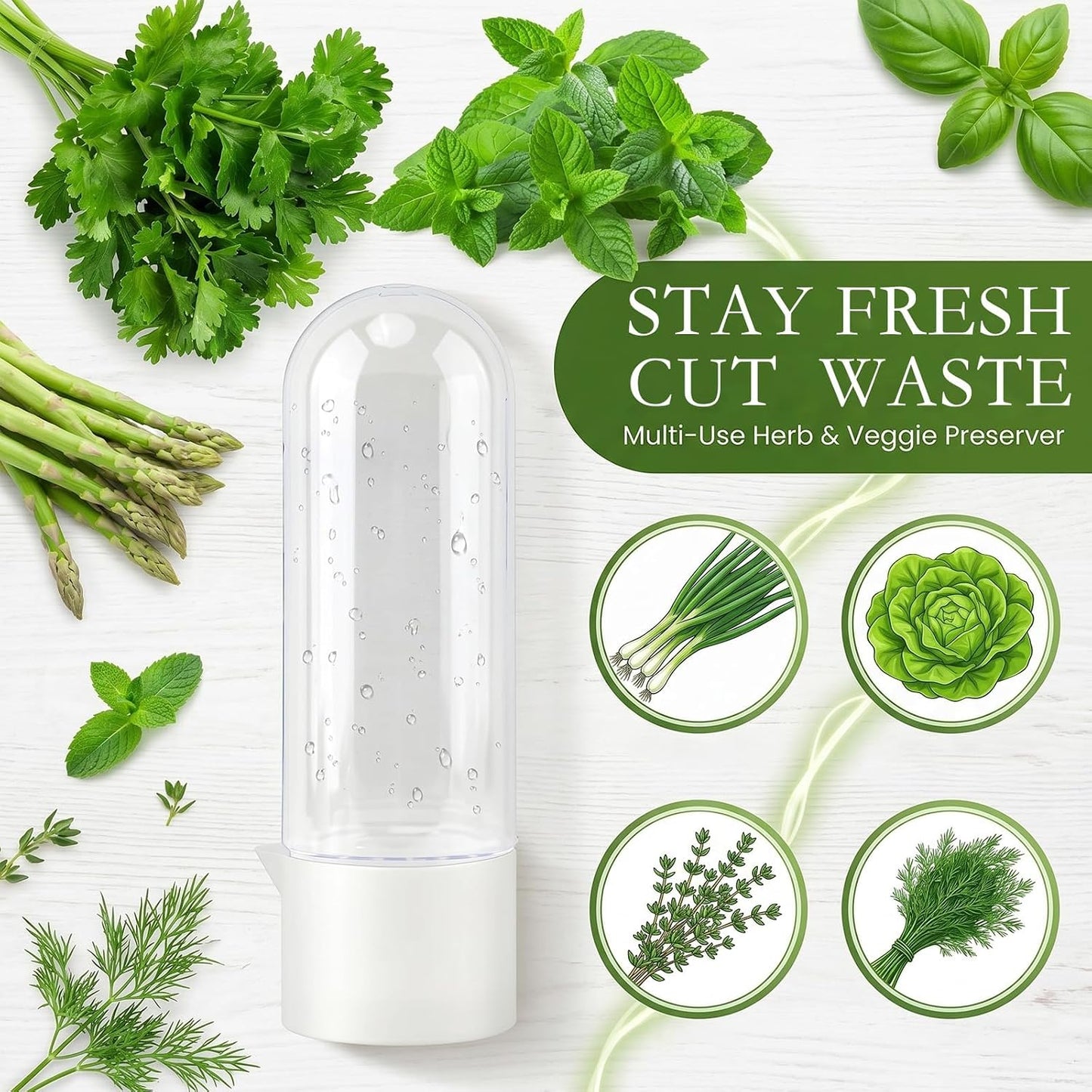 Herb Saver, Herb Keeper for Refrigerator, Cilantro Container for Fridge, Hard Shell Fresh Herb Storage for Asparagus, Parsley, Mint, Rosemary, Keeps Greens Fresh for 2-3 Weeks (3PCS)