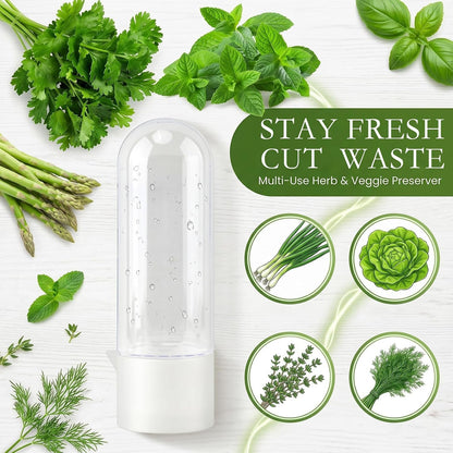 Herb Saver, Herb Keeper for Refrigerator, Cilantro Container for Fridge, Hard Shell Fresh Herb Storage for Asparagus, Parsley, Mint, Rosemary, Keeps Greens Fresh for 2-3 Weeks (3PCS)