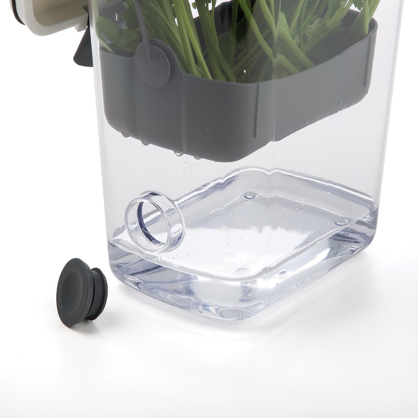 ProKeeper Herb Keeper with Removable Silicone Drain Plug, BPA-Free Plastic | Stores 1 to 3 Bunches Of Herbs Or Keeps Asparagus Hydrated, Removable Basket for Easy Access and Drainage, Dishwasher Safe