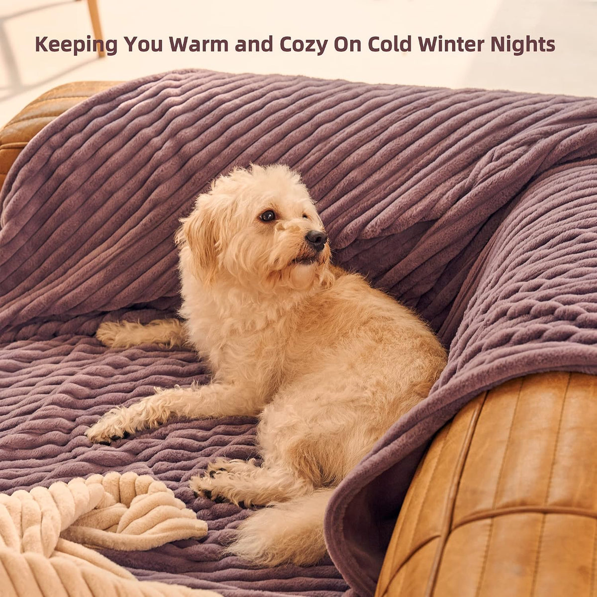 GOTCOZY Heated Blanket-Soft Plush Electric Blanket 50"X60"(Grey)