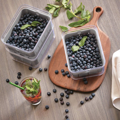 iDesign Small Fridge Berry Bin with Removable Colander Basket and Lid - Set of 2 - Clear/White