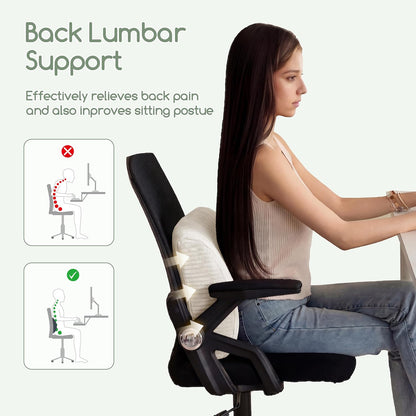HIGOGOGO Lumbar Support Pillow for Recliner Chair/Accent Chair/Couch, Memory Foam Back Support Cushion for Elderly, Recliner Cushions for Back Rest, Pain Relief, Reading, Washable Cover, Brown