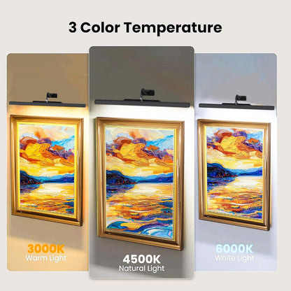 Picture Light for Wall, 12" Rechargeable Wireless Battery Operated Painting Lighting, Dimmable LED with Remote 3CCT for Wall Art Gallery Display (Black)