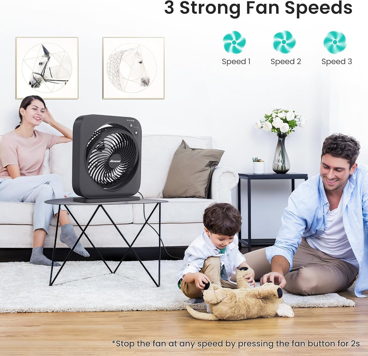 AMACOOL Table Fan, 12 inch Box Fan with 3 Speeds & 8HRS Timer, 270° Pivoting Quiet Air Circulator, Desktop Fan for Bedroom Bathroom Kitchen Office, AC Adapter Included, Co-Branded with Cmyfato-Black