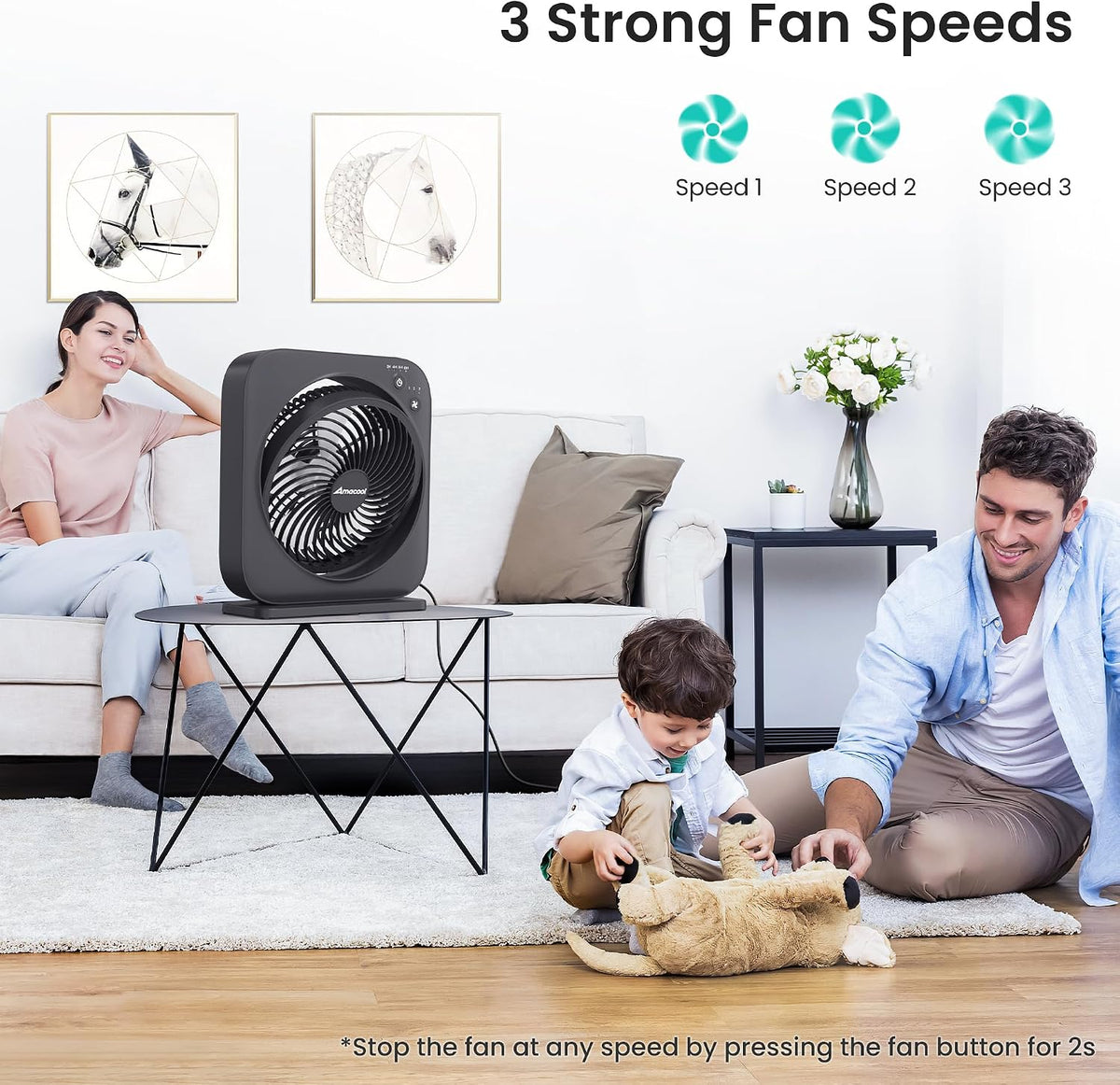 AMACOOL Table Fan, 12 inch Box Fan with 3 Adjustable Speeds & 8HRS Timer, Adjustable Angle Quiet Air Circulator, Desktop Fan for Bedroom Bathroom Kitchen Office, AC Adapter Included-Grey
