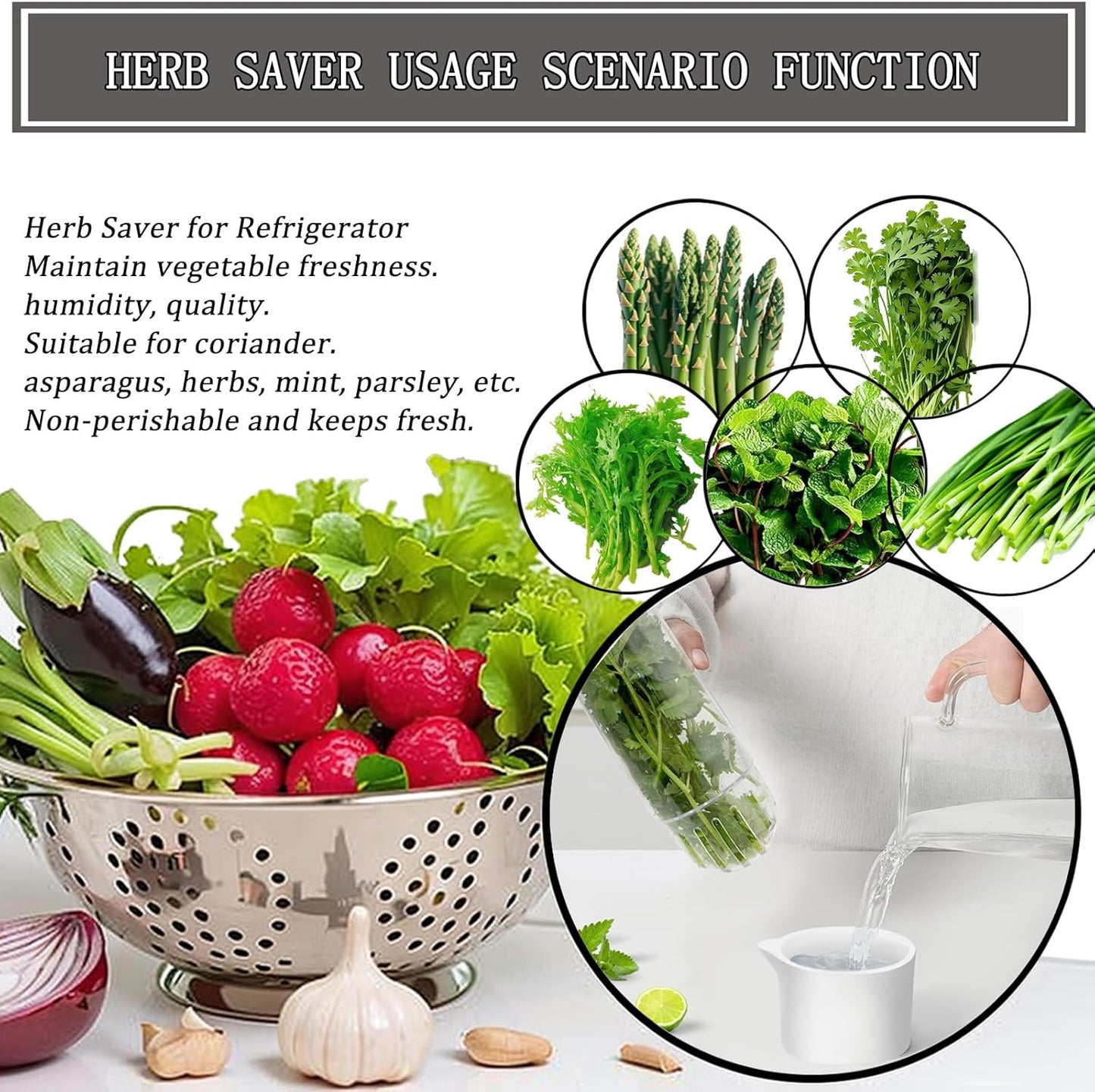 Herb Saver for Refrigerator, Cilantro Container for Fridge, Fresh Herbs Lettuce Keeper for Refrigerator Parsley Mint Leaves Fresh Herb Keeper, Refrigerato Storage for Fresh for 2-3 Weeks
