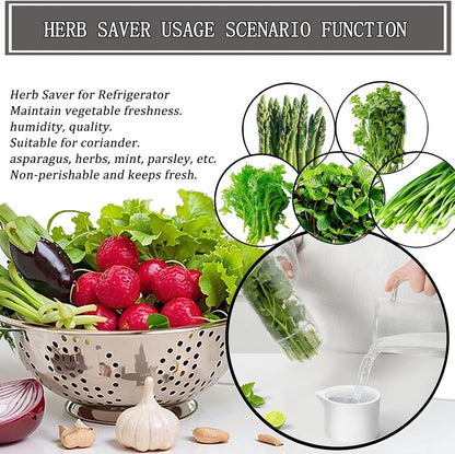 Herb Saver for Refrigerator, Cilantro Container for Fridge, Fresh Herbs Lettuce Keeper for Refrigerator Parsley Mint Leaves Fresh Herb Keeper, Refrigerato Storage for Fresh for 2-3 Weeks