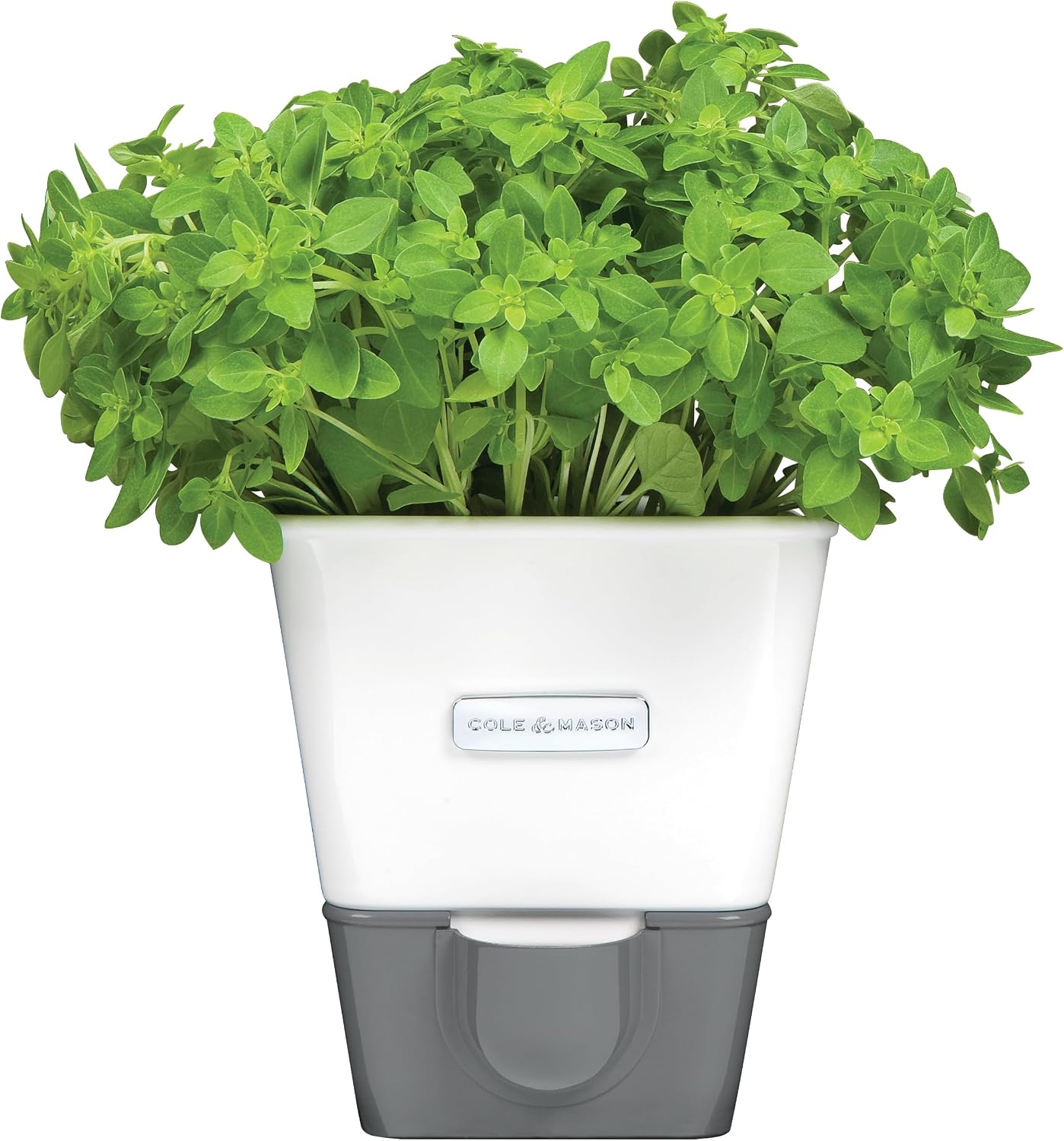 Cole & Mason Fresh Herb Keeper - Acrylic Storage Container for Refrigerator - Storage for Herbs & Vegetables for Fridge - Fresh Herb Keeper